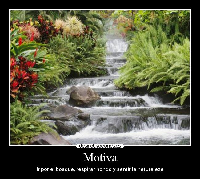 Motiva -