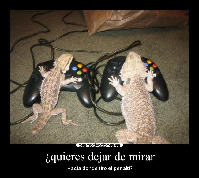 carteles cmalecon desmotivaciones