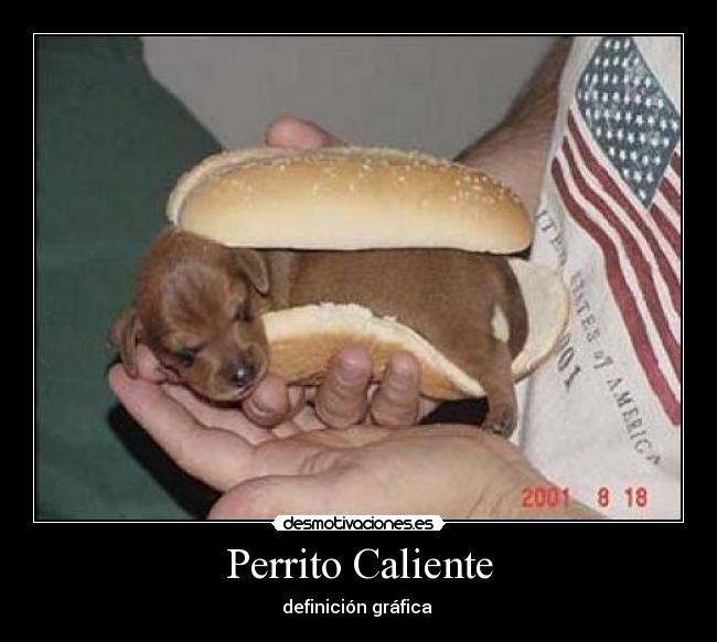 Perrito Caliente -