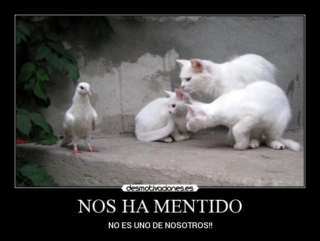 NOS HA MENTIDO - NO ES UNO DE NOSOTROS!!
