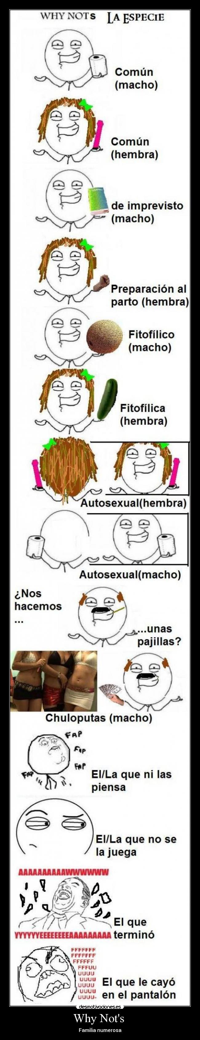 Why Nots - Familia numerosa