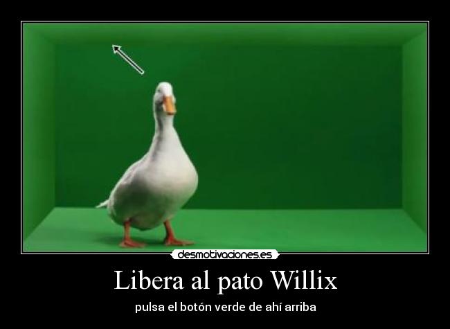Libera al pato Willix - pulsa el botón verde de ahí arriba