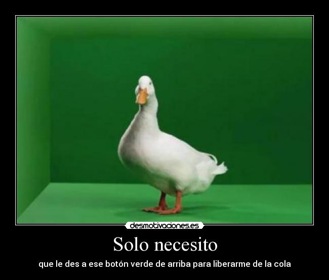 Solo necesito -