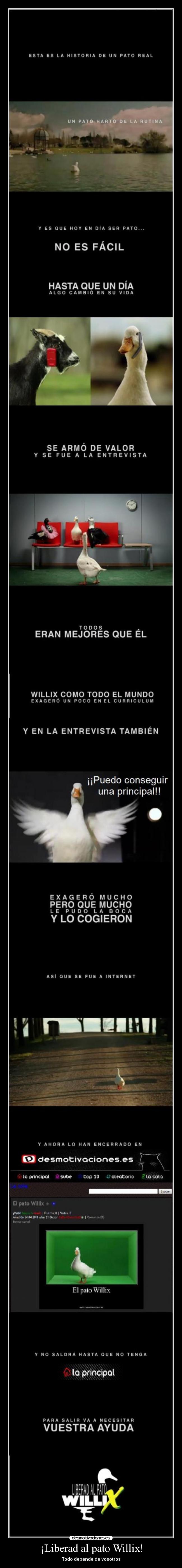 carteles liberad pato willix sabe mixta zzdavicanariozz todo depende vosotros principal desmotivaciones