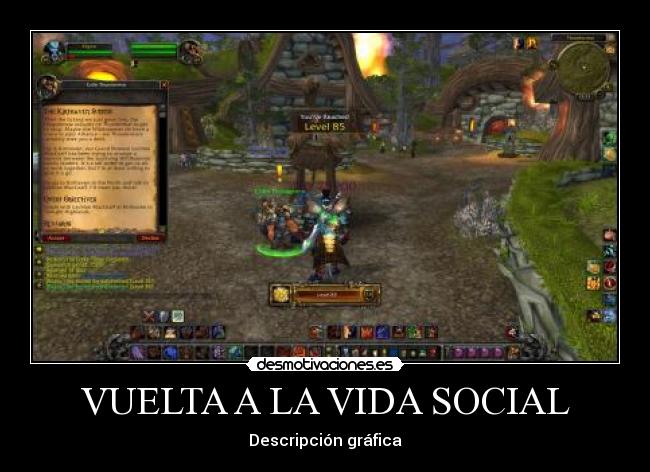 VUELTA A LA VIDA SOCIAL - Descripción gráfica
