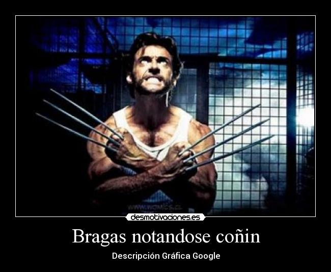 Bragas notandose coñin - Descripción Gráfica Google