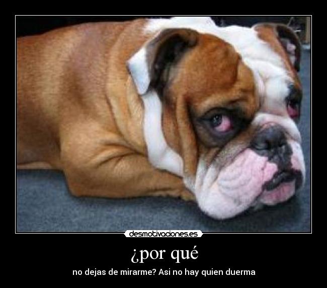 ¿por qué - no dejas de mirarme? Asi no hay quien duerma