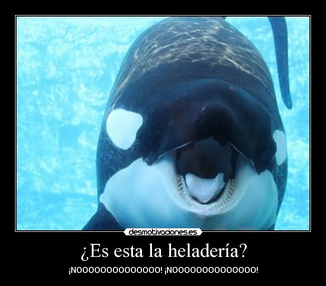 ¿Es esta la heladería? - ¡NOOOOOOOOOOOOOO! ¡NOOOOOOOOOOOOOO!