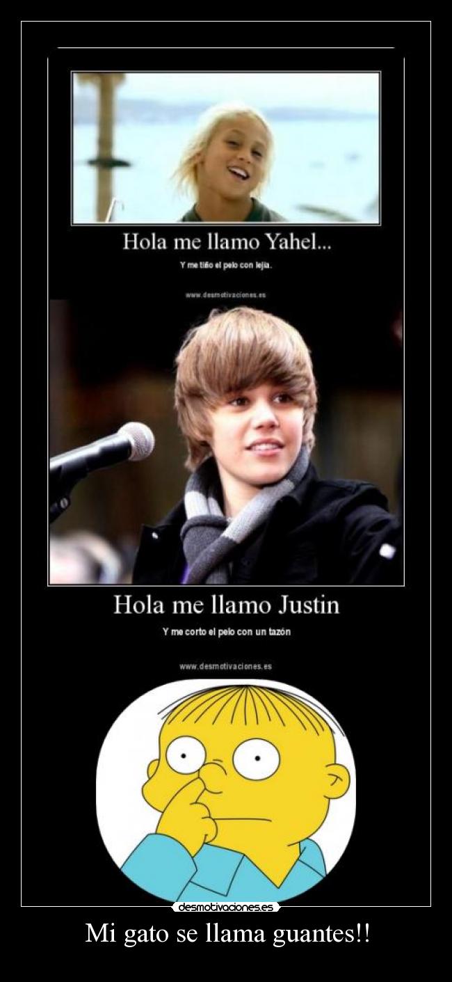 Mi gato se llama guantes!! -