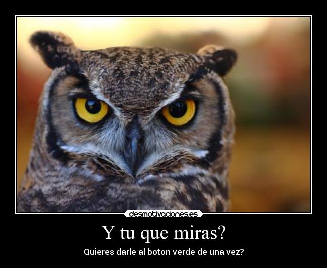 Y tu que miras? -