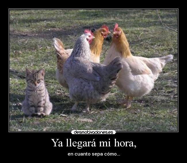 Ya llegará mi hora, -