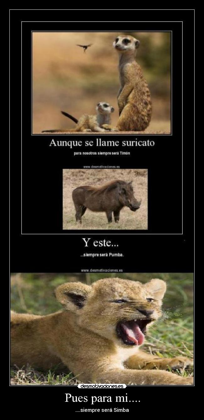 carteles parida desmotivaciones