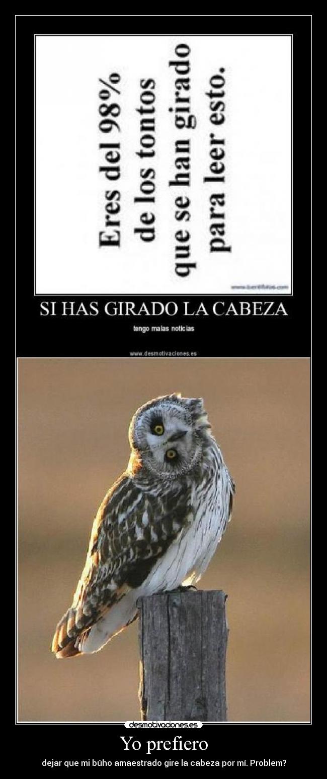 Yo prefiero - dejar que mi búho amaestrado gire la cabeza por mí. Problem?