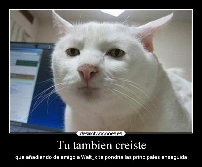 Tu tambien creiste -