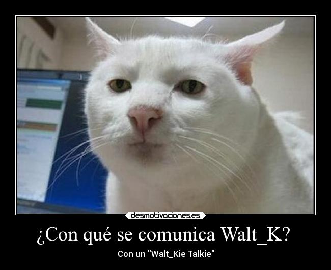 ¿Con qué se comunica Walt_K?  - 