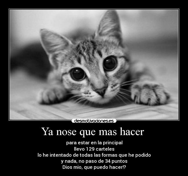 Ya nose que mas hacer -