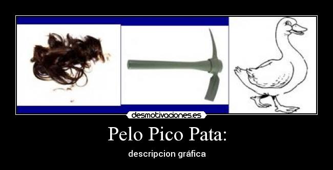 Pelo Pico Pata: - descripcion gráfica