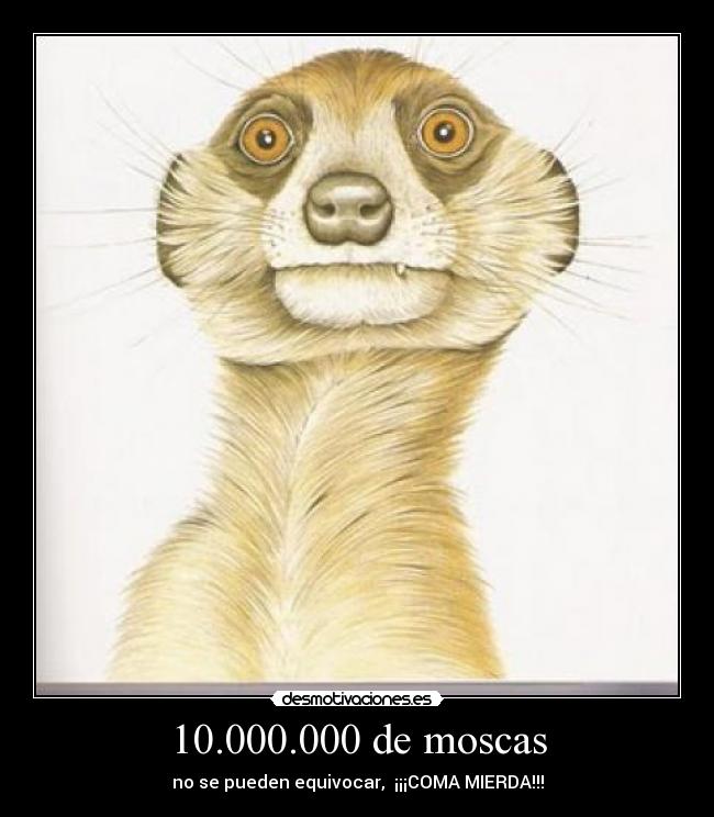 10.000.000 de moscas - no se pueden equivocar,  ¡¡¡COMA MIERDA!!!