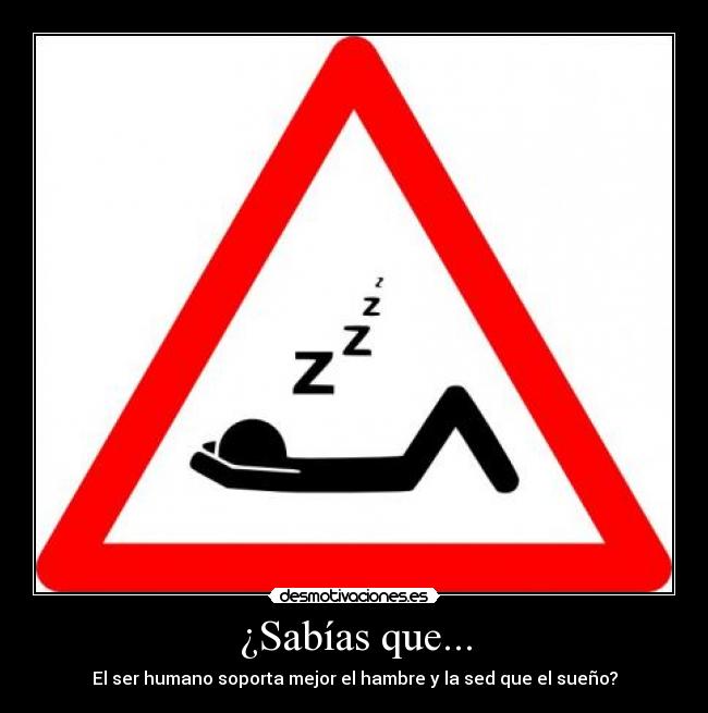 carteles sexo desmotivaciones
