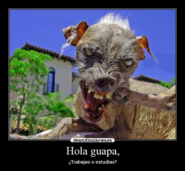 carteles tags desmotivaciones