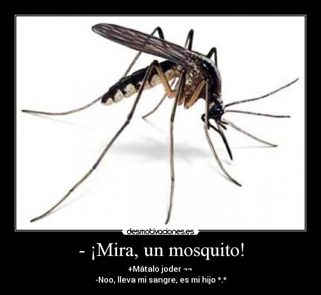 - ¡Mira, un mosquito! -