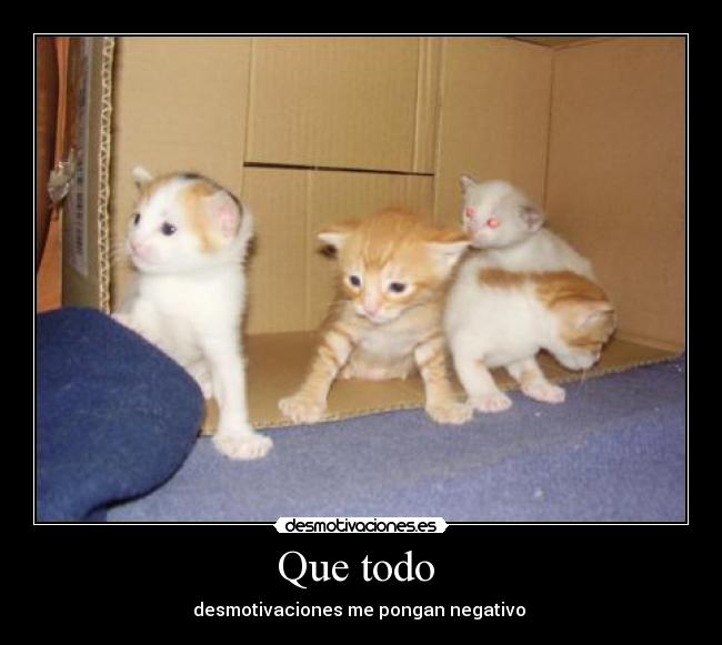 Que todo - desmotivaciones me pongan negativo