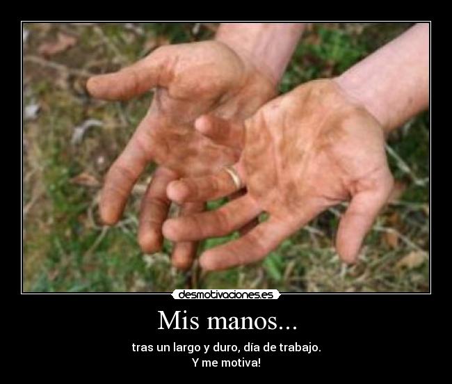 Mis manos... - 