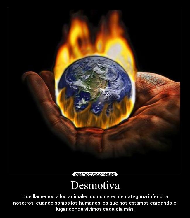 Desmotiva - Que llamemos a los animales como seres de categoría inferior a
nosotros, cuando somos los humanos los que nos estamos cargando el
lugar donde vivimos cada día más.