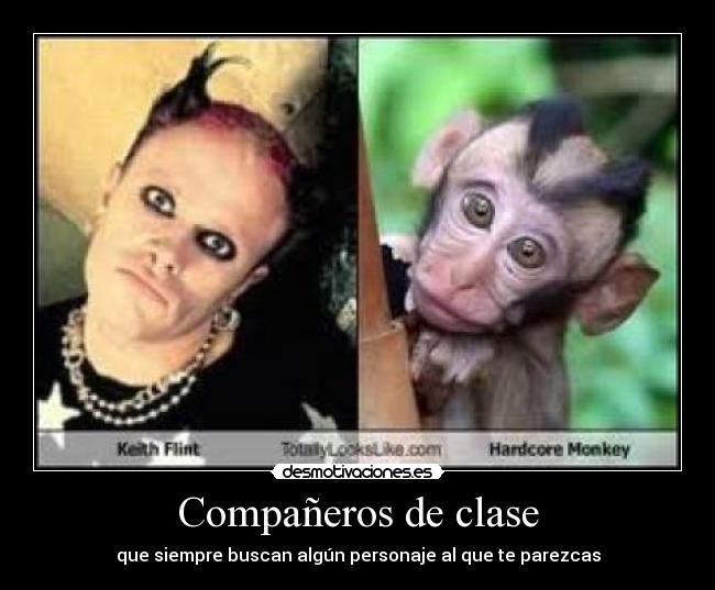 Compañeros de clase - 