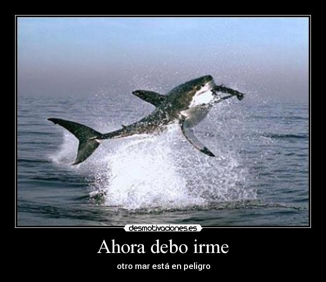 Ahora debo irme - otro mar está en peligro