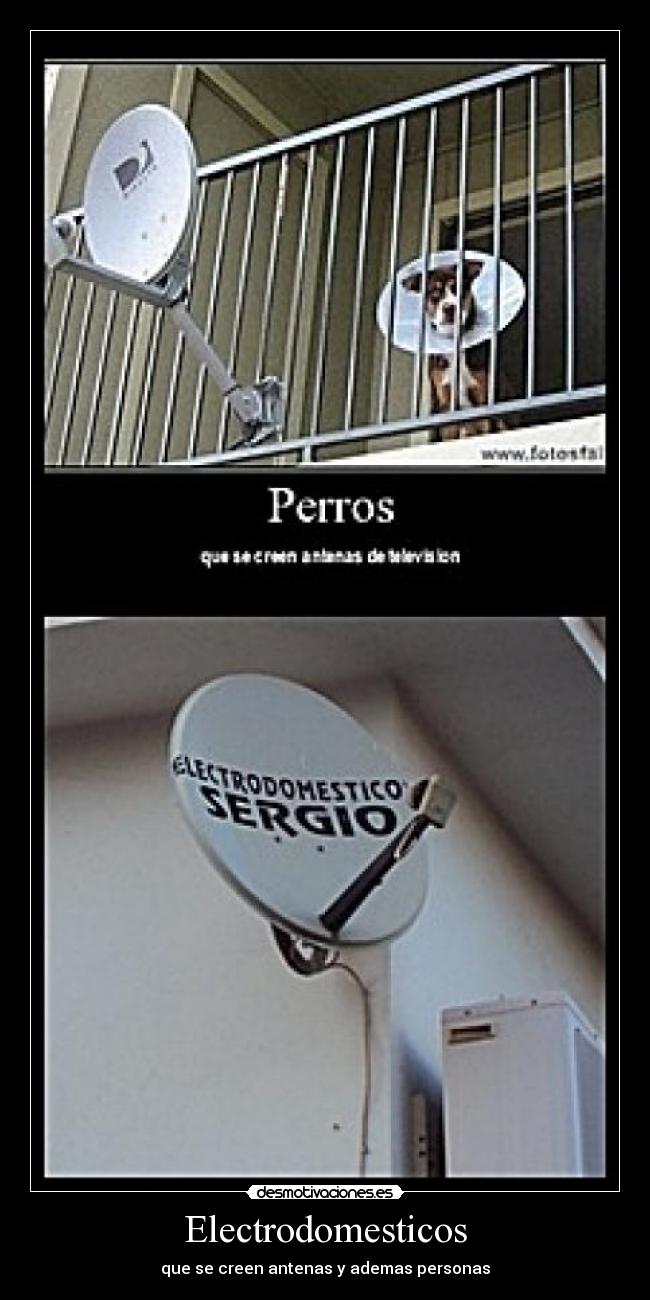 Electrodomesticos - que se creen antenas y ademas personas