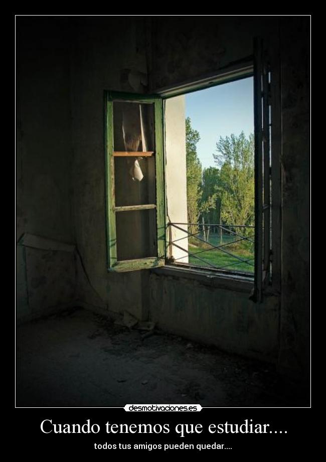 carteles amigos desmotivaciones