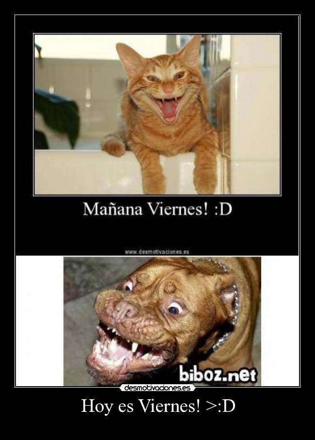 Hoy es Viernes! >:D - 