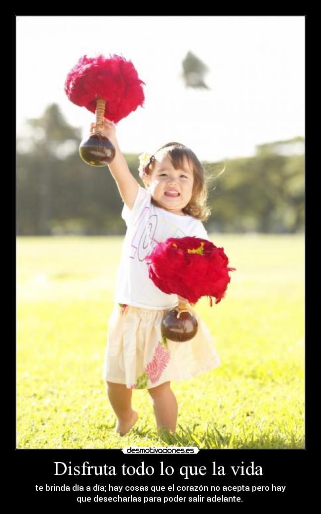 Disfruta todo lo que la vida  - 