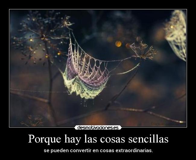 Porque hay las cosas sencillas -