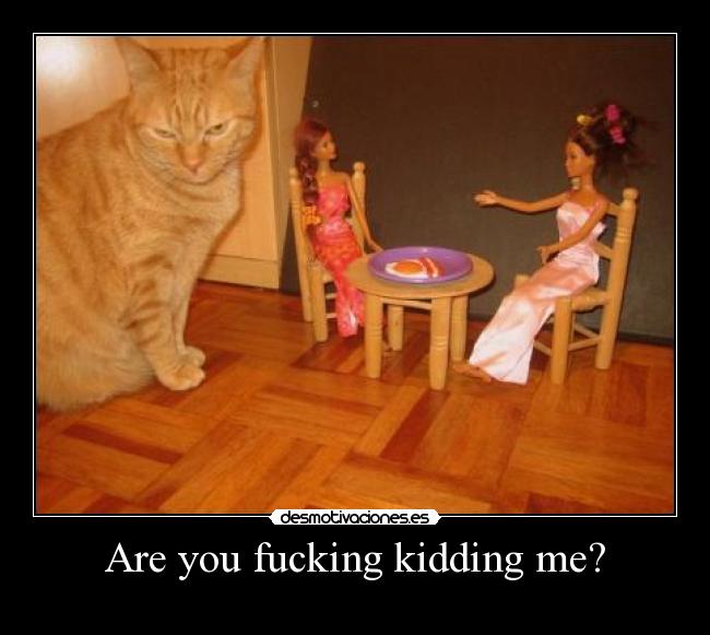 Are you fucking kidding me? -