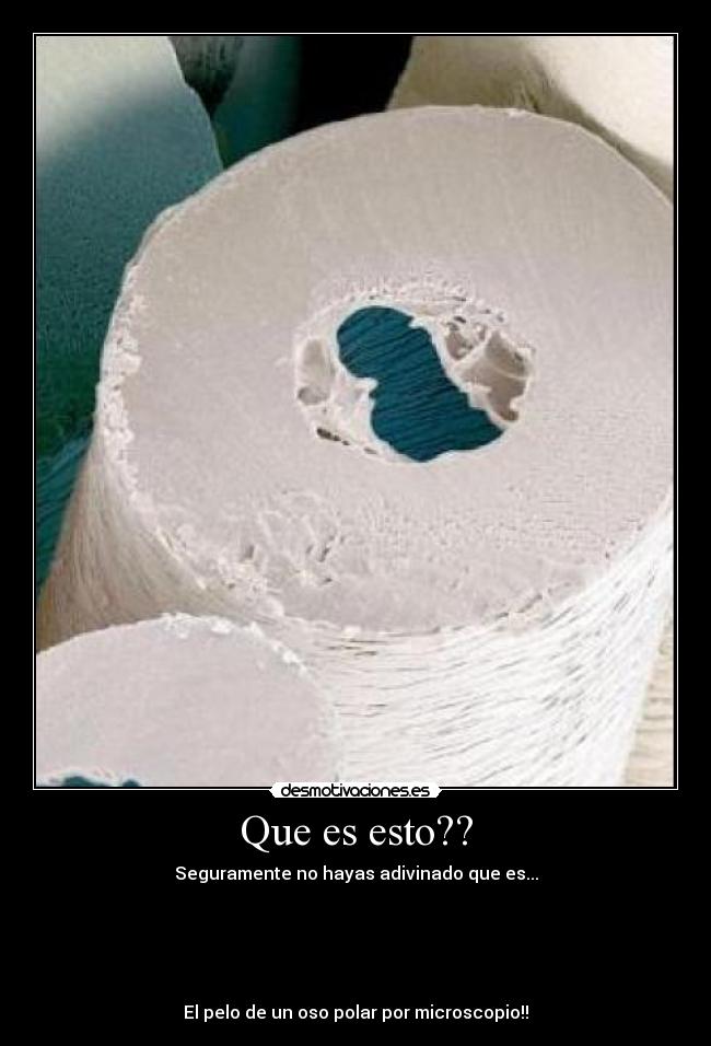 Que es esto?? -