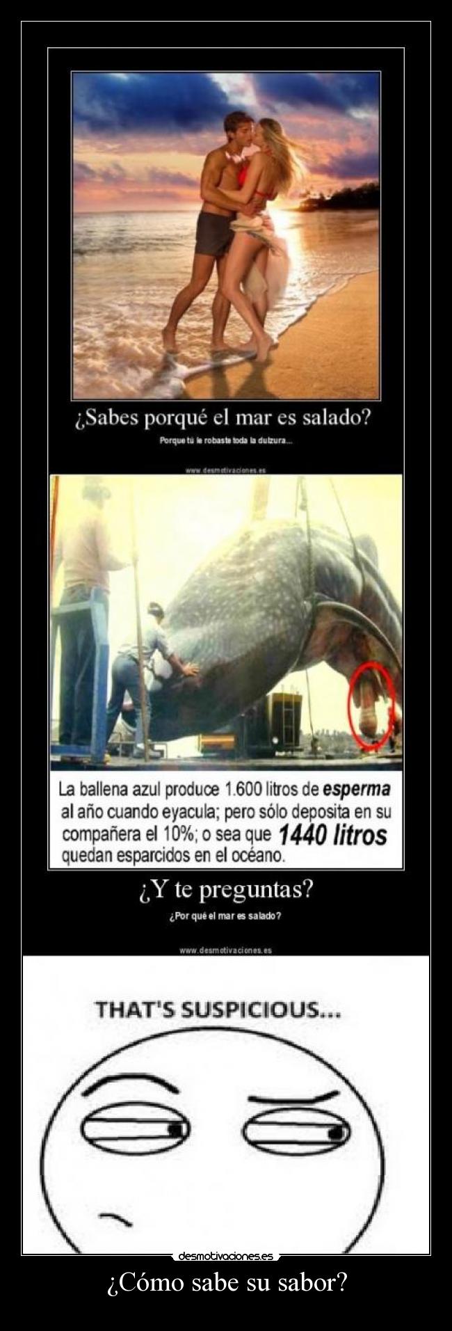 ¿Cómo sabe su sabor? -