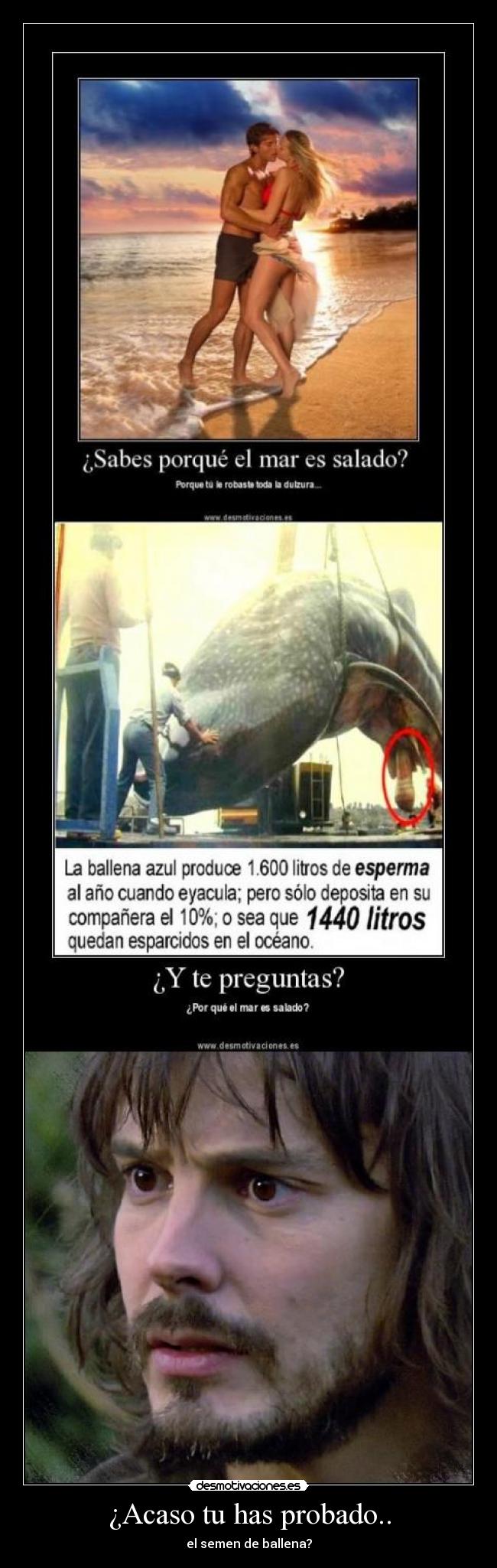 ¿Acaso tu has probado.. -