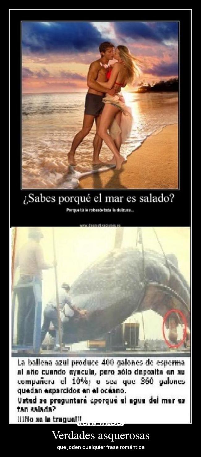 Verdades asquerosas -