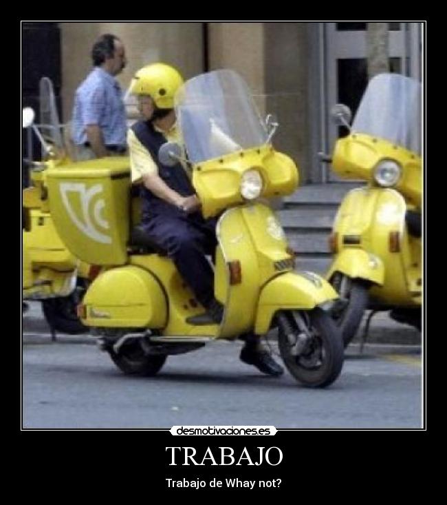 TRABAJO - Trabajo de Whay not?