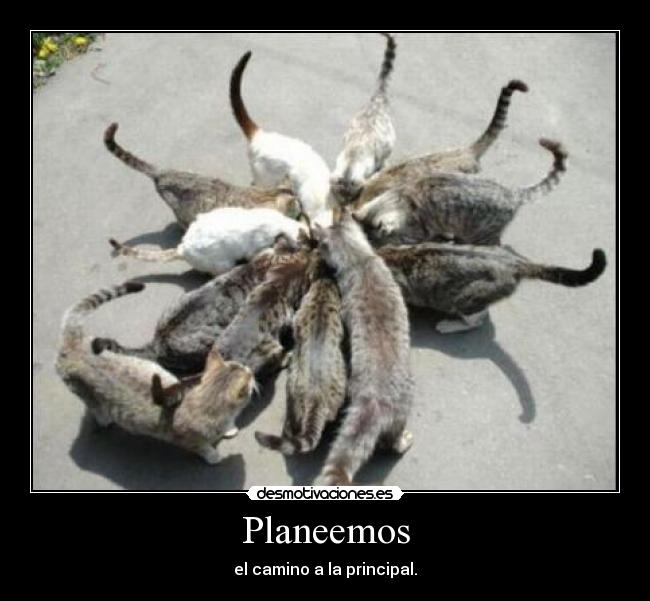 Planeemos -