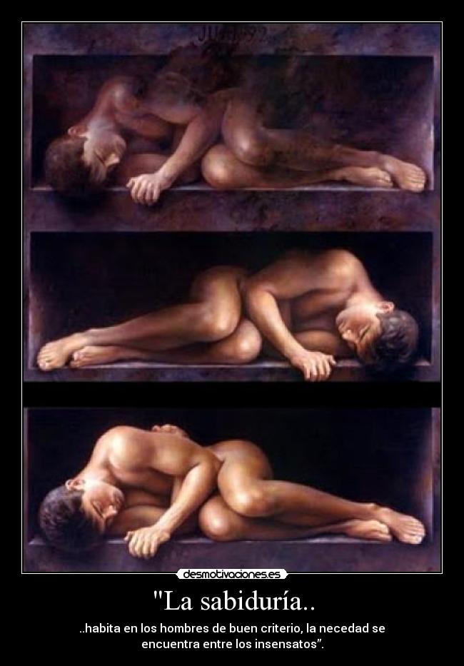 carteles sabiduria desmotivaciones