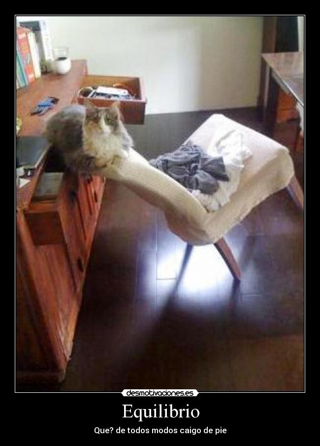 Equilibrio -