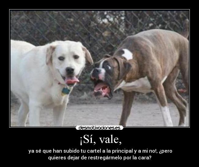 ¡Sí, vale, - 