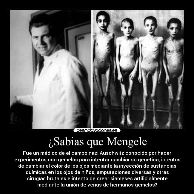 ¿Sabias que Mengele - Fue un médico de el campo nazi Auschwitz conocido por hacer
experimentos con gemelos para intentar cambiar su genética, intentos
de cambiar el color de los ojos mediante la inyección de sustancias
químicas en los ojos de niños, amputaciones diversas y otras
cirugías brutales e intento de crear siameses artificialmente
mediante la unión de venas de hermanos gemelos?