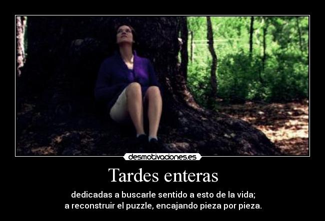 Tardes enteras - dedicadas a buscarle sentido a esto de la vida;
a reconstruir el puzzle, encajando pieza por pieza.