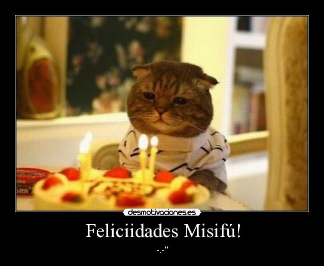 Feliciidades Misifú! -