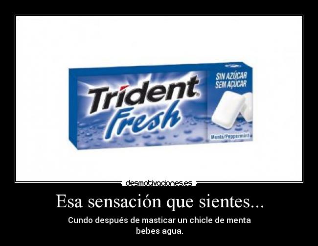 carteles chicle frio menta desmotivaciones