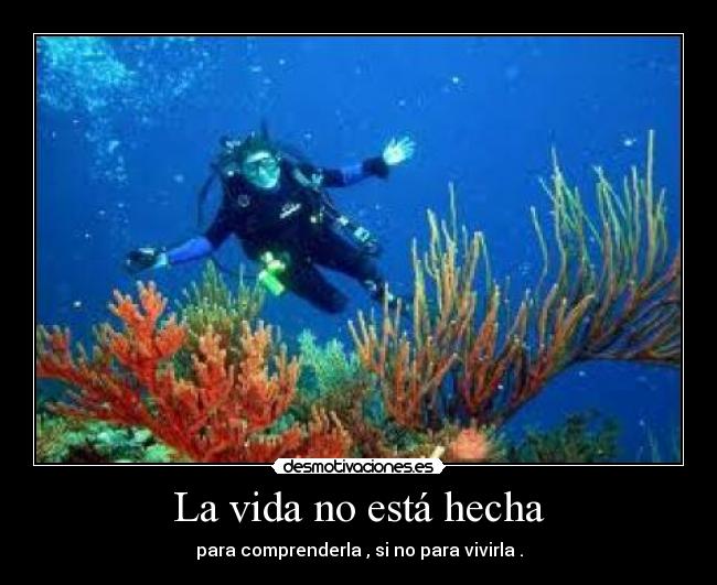 La vida no está hecha - para comprenderla , si no para vivirla .